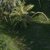 I offer 3D renders to bring your ideas to life slider nav image 6