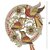 I will create jewelry products at a reasonable price slider nav image 2
