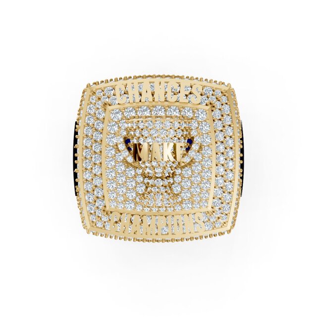 I will do jewelry CAD design for 3D printing and rendering image 4