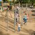 I will create caliathenic fitness design slider nav image 3