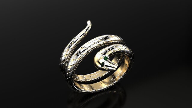 I will create professional 3D jewelry designs and CAD models for manufacturing