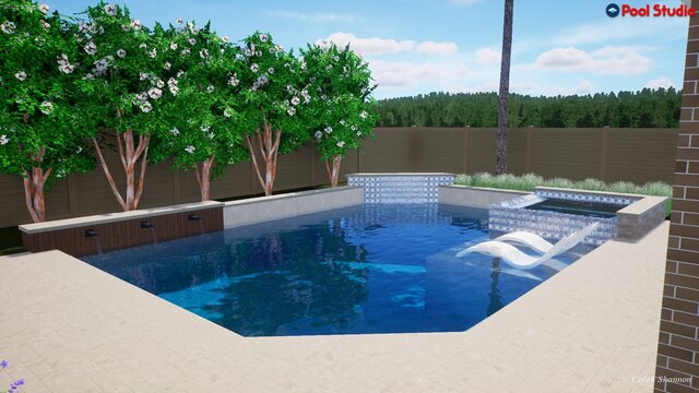 I offer luxury pool designs & outdoor living 3D models image 19