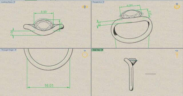 I will design custom 3D CAD models for jewelry, rings and pendants earrings image 8